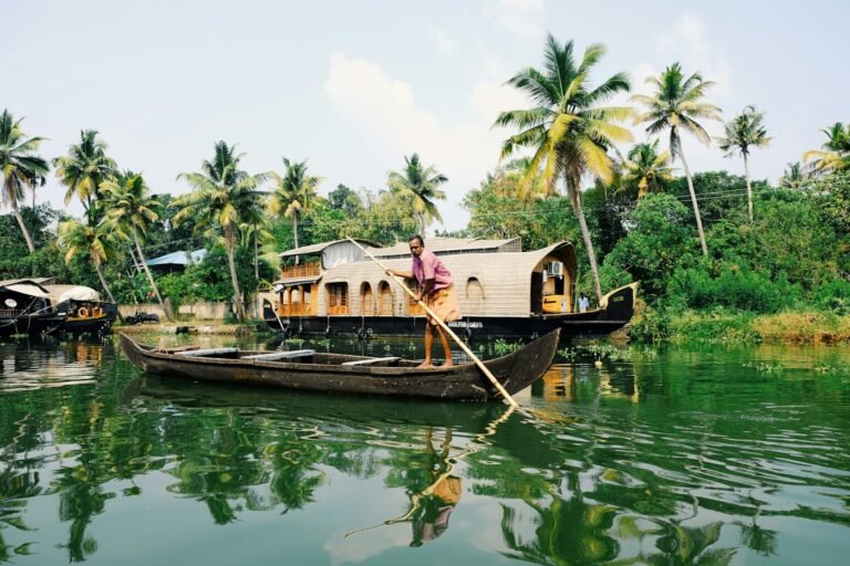 Digital Marketing Agency in Kumarakom: reporting and growth, LA DIGITS Kottayam