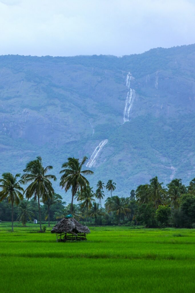 Hotels & tourism